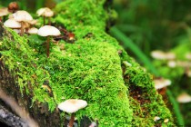 24小时在线追款黑客（黑客免费追款）